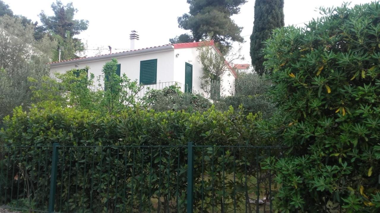 סופטאר Holiday Home Pavarotti מראה חיצוני תמונה