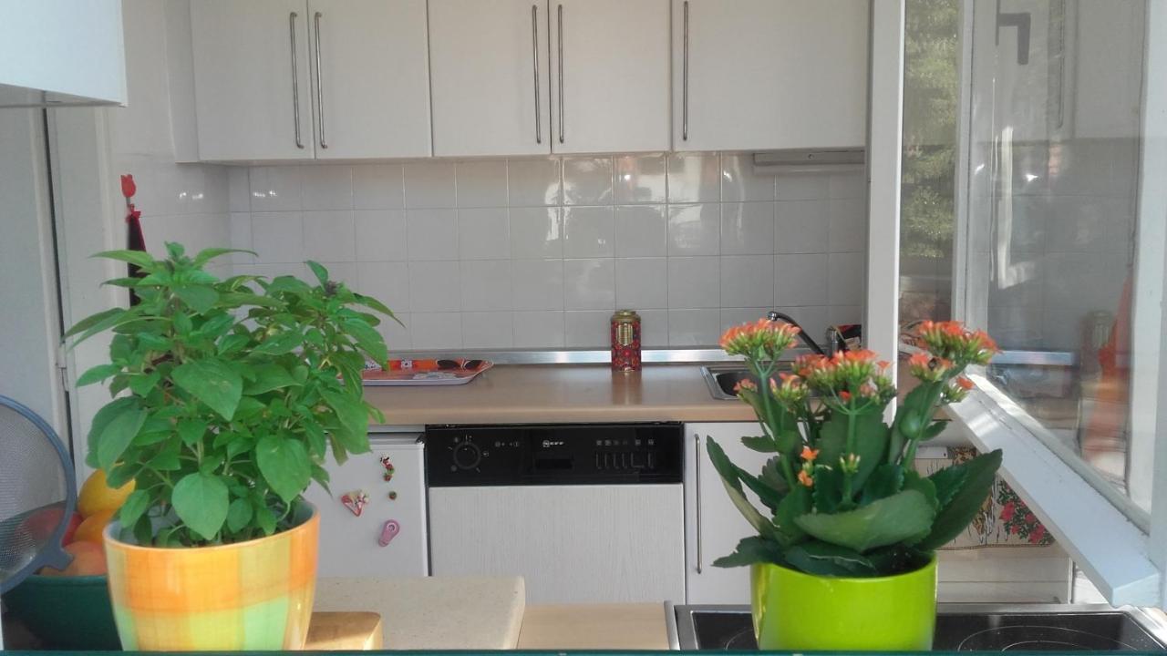 סופטאר Holiday Home Pavarotti מראה חיצוני תמונה