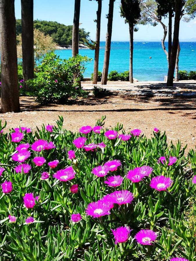 סופטאר Holiday Home Pavarotti מראה חיצוני תמונה